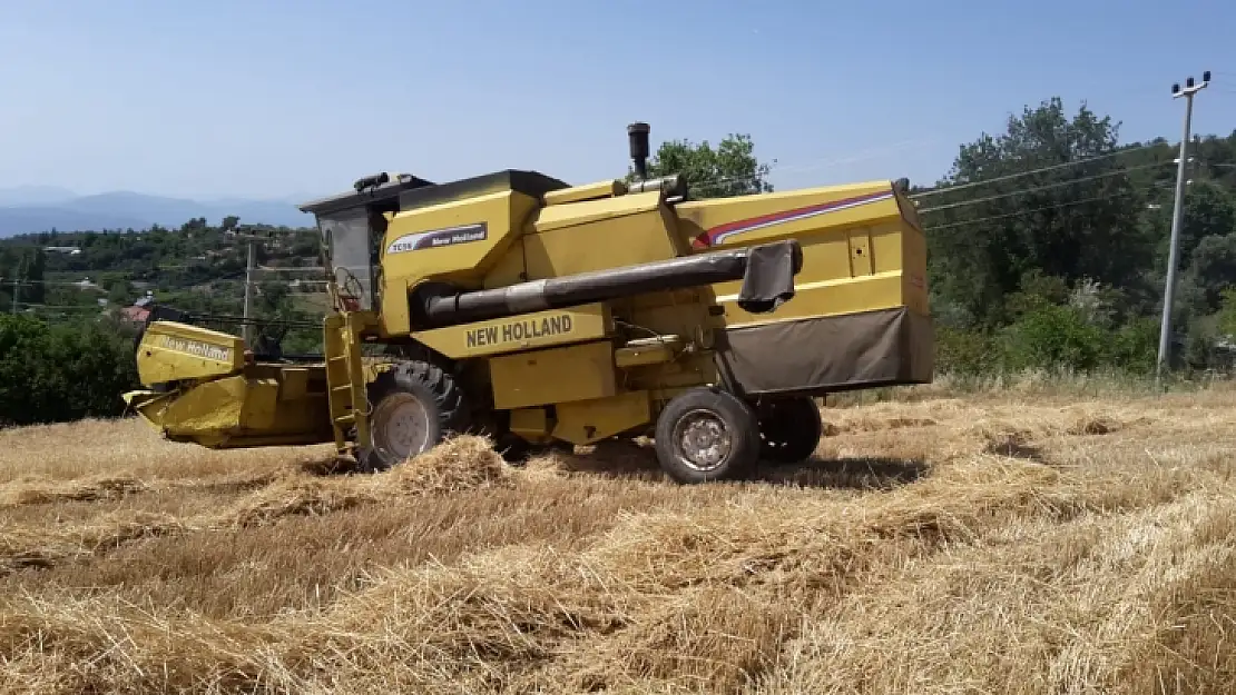 Buğday hasadı biçerdöverle yapılıyor