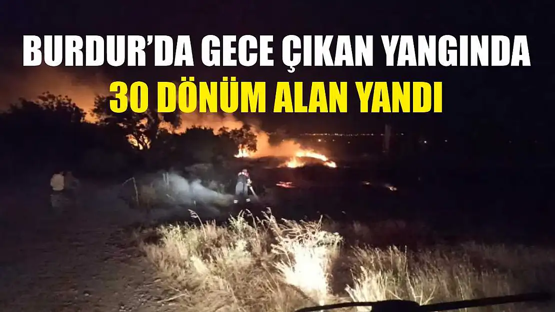 Burdur'da gece çıkan yangında 30 dönüm alan yandı