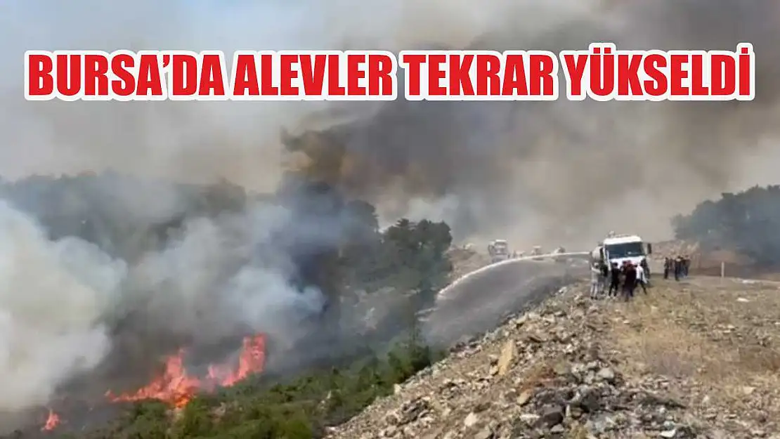 Bursa'da alevler tekrar yükseldi
