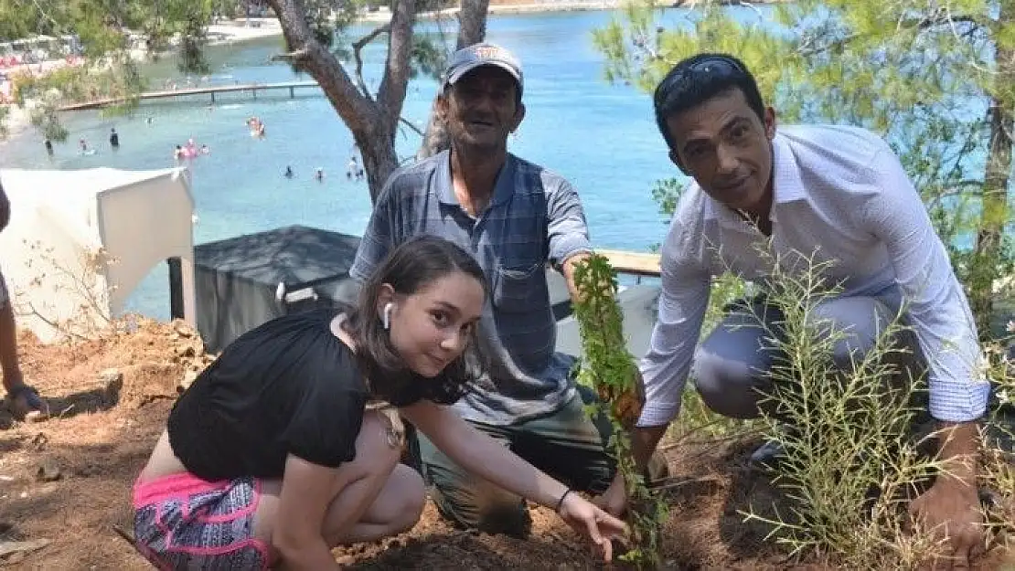 Büyük Samanlık Plajı'nda Ağaç Dikim Etkinliği