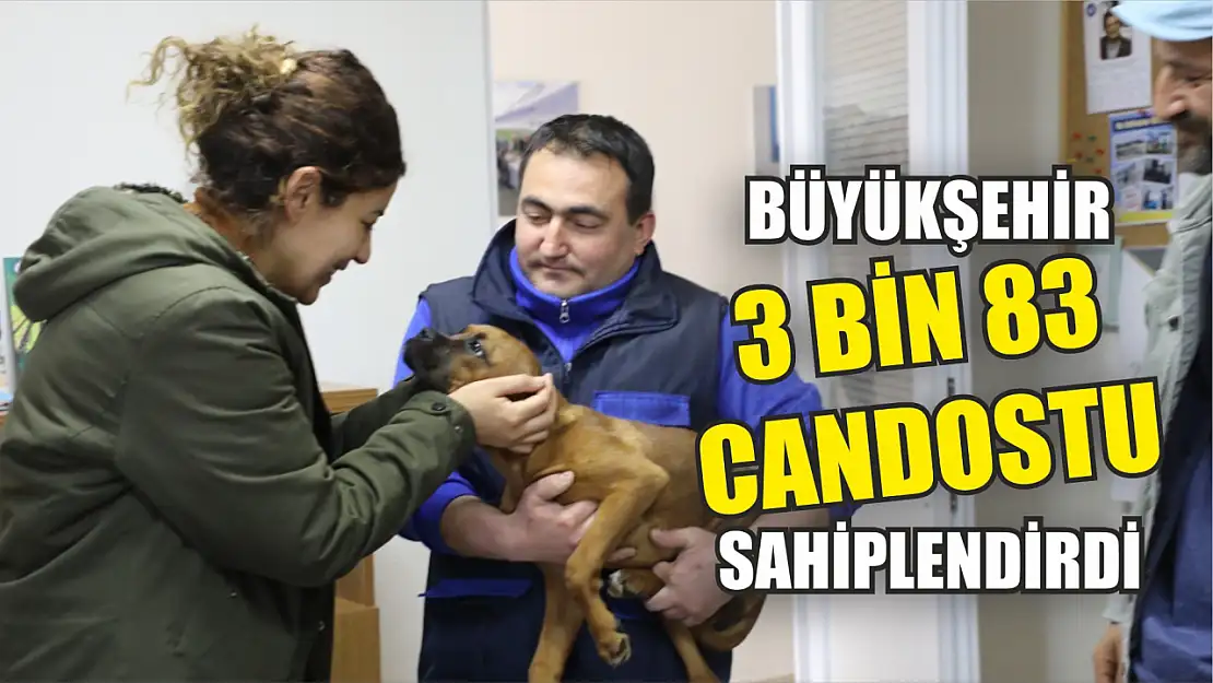 Büyükşehir 3 bin 83 Candostu Sahiplendirdi