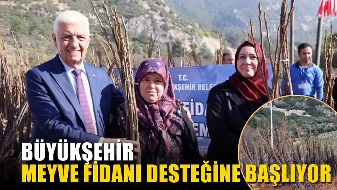 Büyükşehir 53 Bin Adet Meyve Fidanı Dağıtıyor