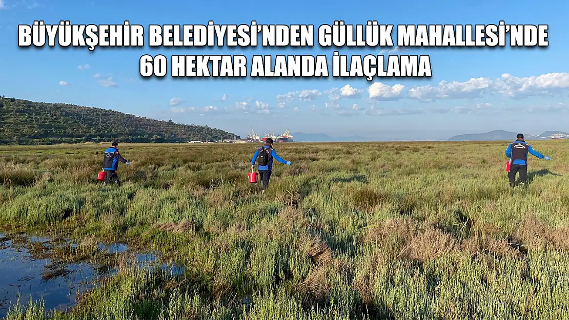 Büyükşehir Belediyesi'nden Güllük Mahallesi'nde 60 Hektar Alanda İlaçlama