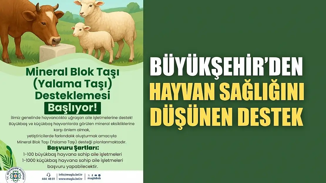 Büyükşehir'den Hayvan Sağlığını Düşünen Destek