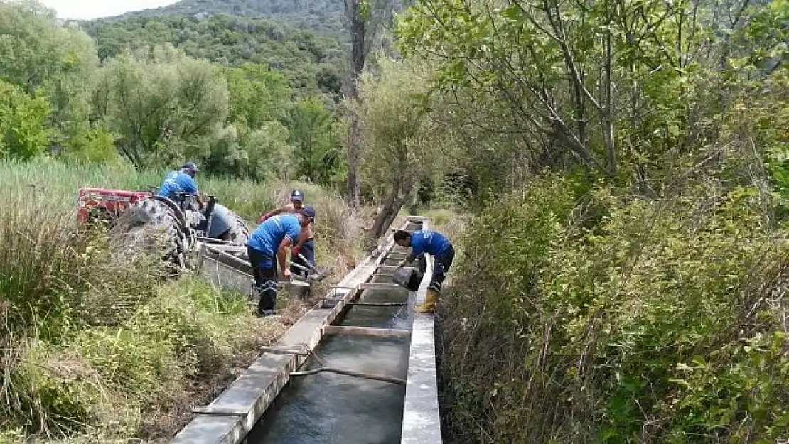 Büyükşehir'den Tarıma Destek