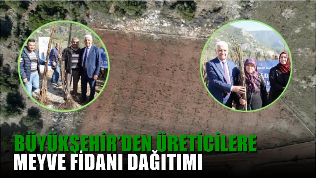 Büyükşehir'den üreticilere  meyve fidanı dağıtımı