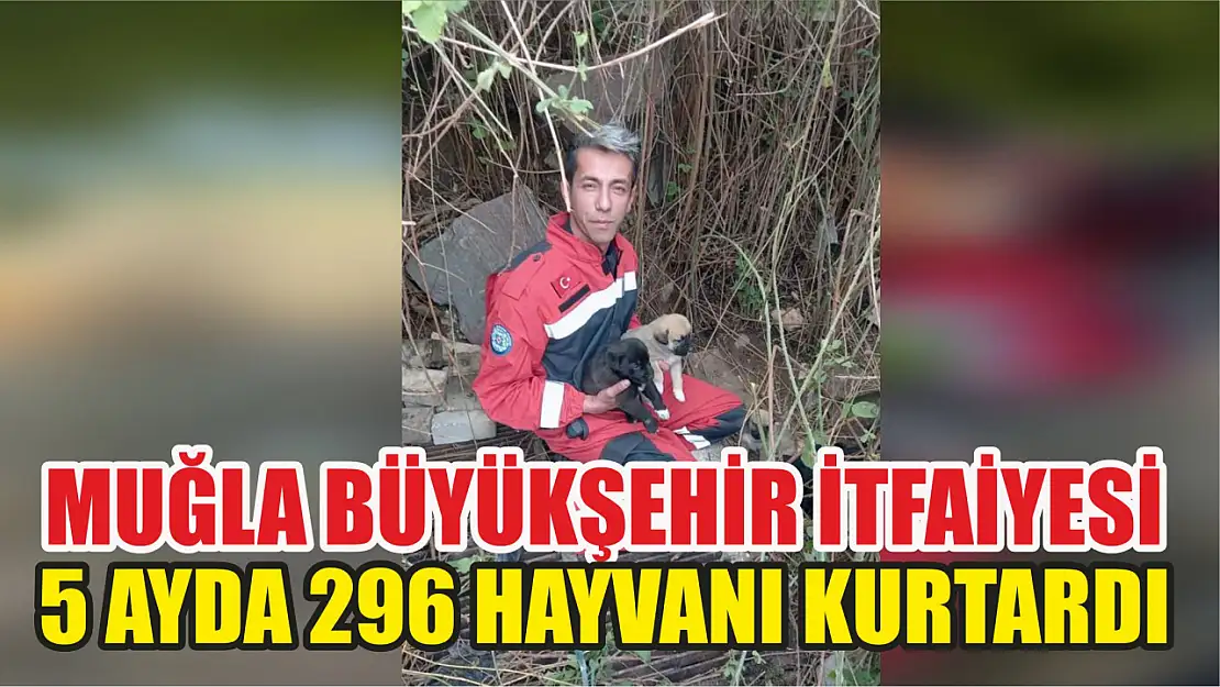 Büyükşehir İtfaiyesi 5 Ayda 296 Hayvanı Kurtardı