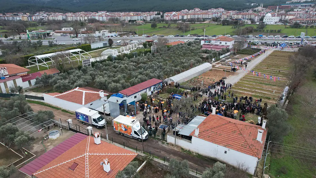 Büyükşehir Meyve Fidanı Dağıtımına Devam Ediyor