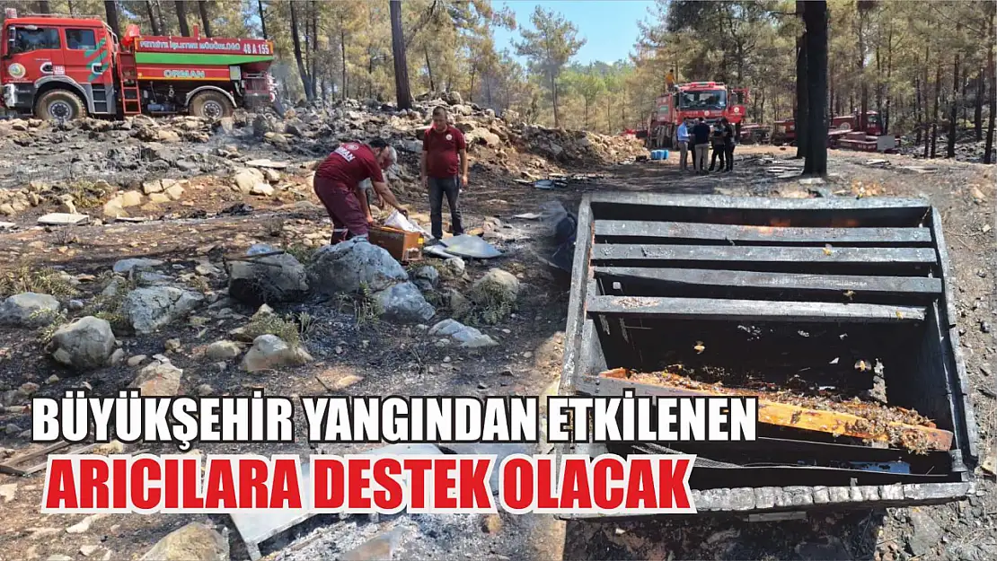 Büyükşehir Yangından Etkilenen Arıcılara Destek Olacak 