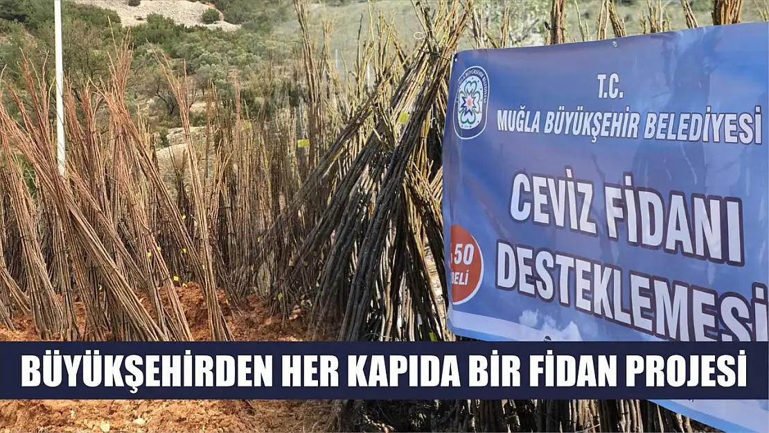 Büyükşehirden Her Kapıda Bir Fidan Projesi 