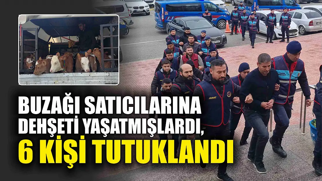 Buzağı satıcılarına dehşeti yaşatmışlardı, 6 kişi tutuklandı