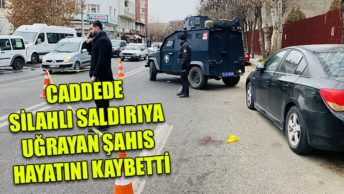 Caddede silahlı saldırıya uğrayan şahıs hayatını kaybetti