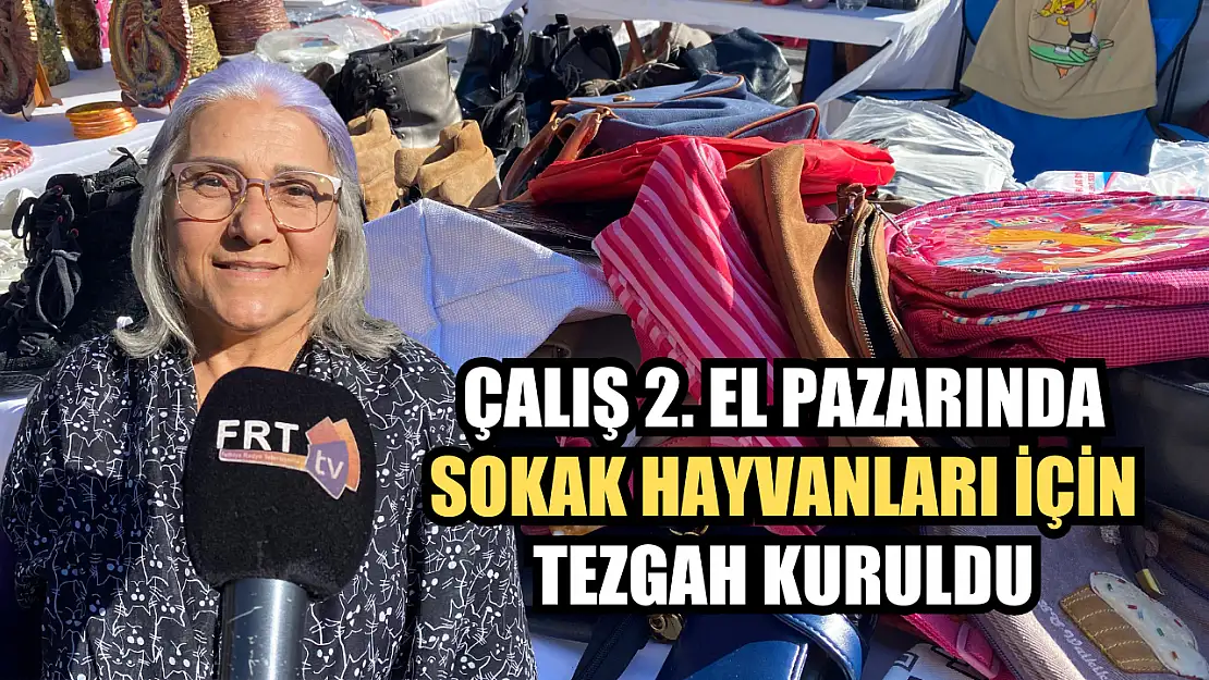 Çalış 2. El Pazarında Sokak Hayvanları İçin Tezgah Kuruldu