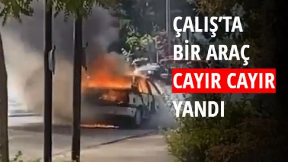 ÇALIŞ'TA BİR ARAÇ CAYIR CAYIR YANDI