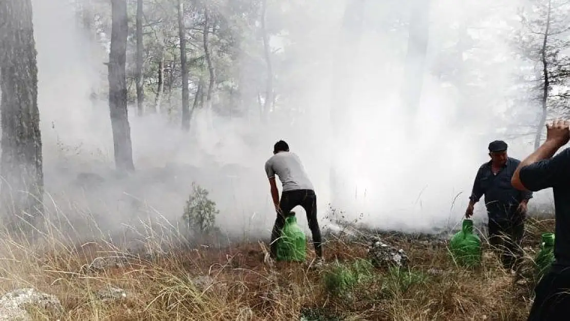 Çalıyı çırpıyı alan köylüler yangına koştu, kadınlar traktör ile su taşıdı