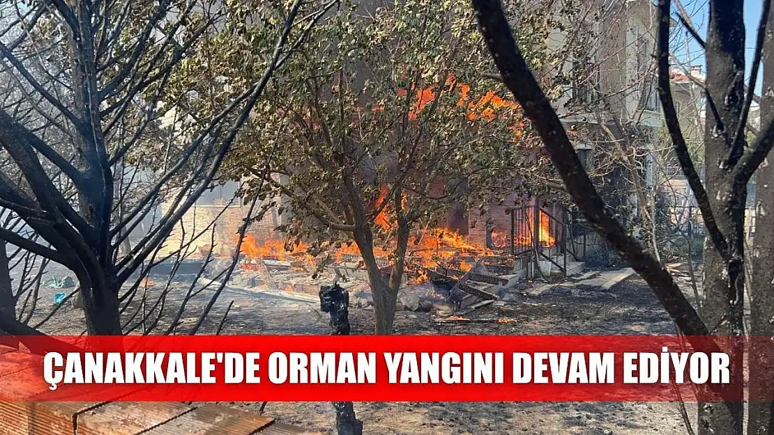 Çanakkale'de orman yangını devam ediyor