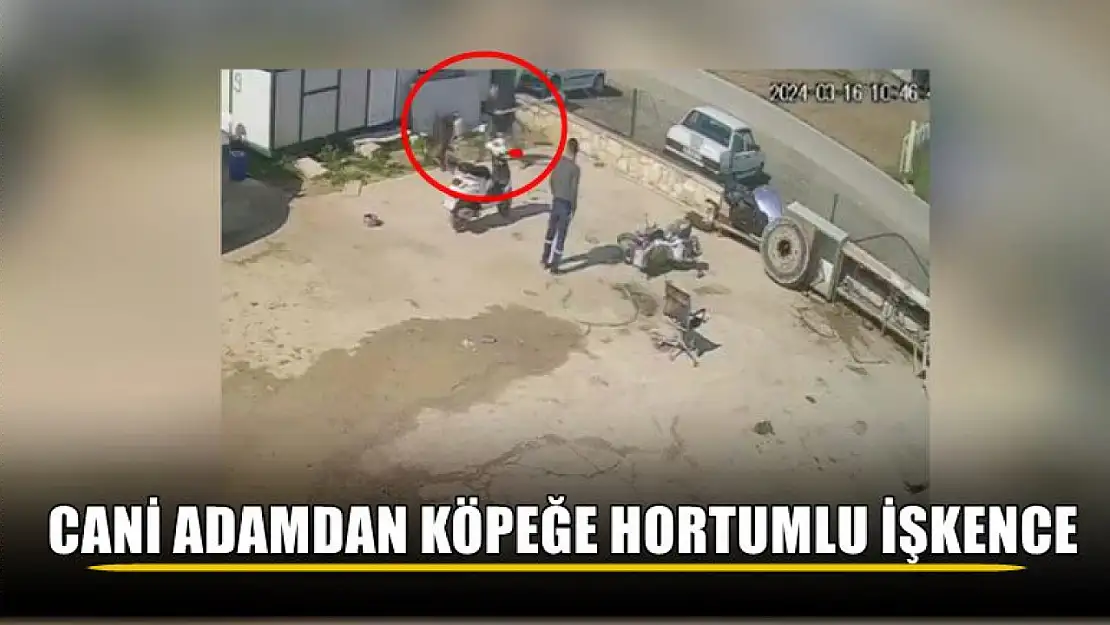 Cani adamdan köpeğe hortumlu işkence