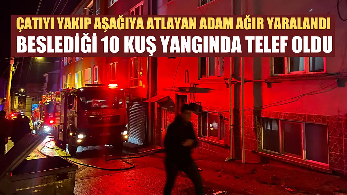 Çatıyı yakıp aşağıya atlayan adam ağır yaralandı, beslediği 10 kuş yangında telef oldu