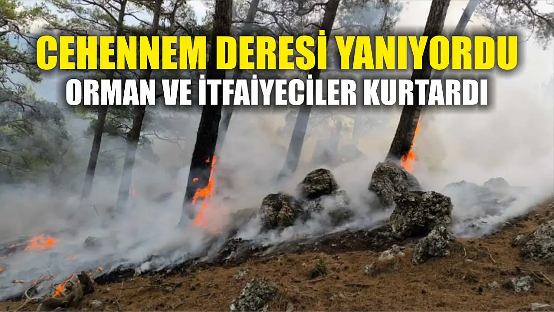 Cehennem Deresi yanıyordu, orman ve itfaiyeciler kurtardı