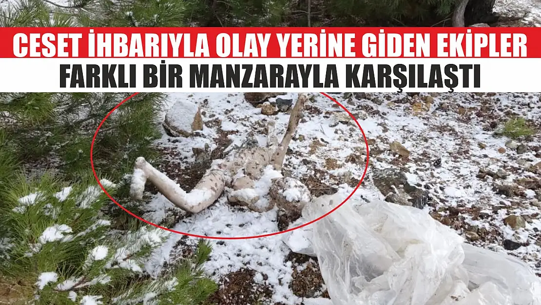 Ceset ihbarıyla olay yerine giden ekipler farklı bir manzarayla karşılaştı