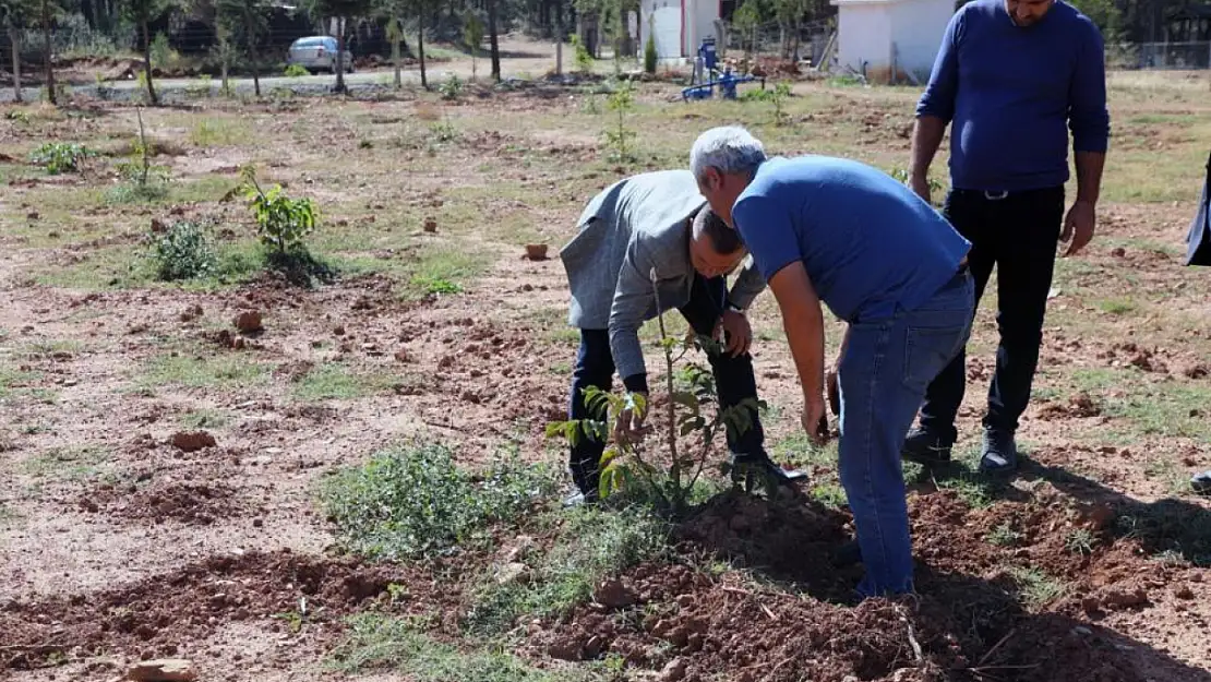 Ceviz ve Badem deneme bahçesi oluşturuldu