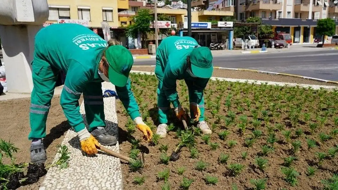 Çevre düzenleme çalışmaları sürdürülüyor