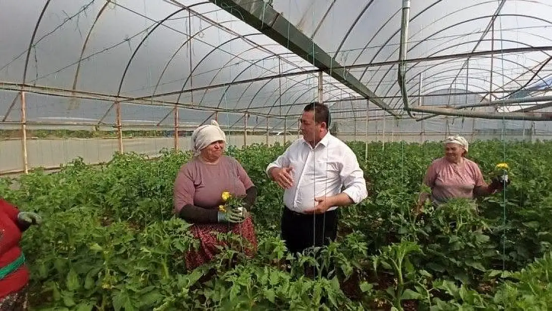 Çiftçi Muğla'dan haykırdı: tükendik artık bittik