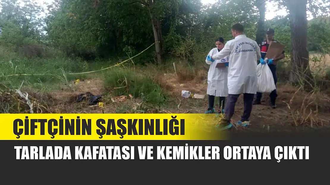 Çiftçinin Şaşkınlığı: Tarlada Kafatası ve Kemikler Ortaya Çıktı