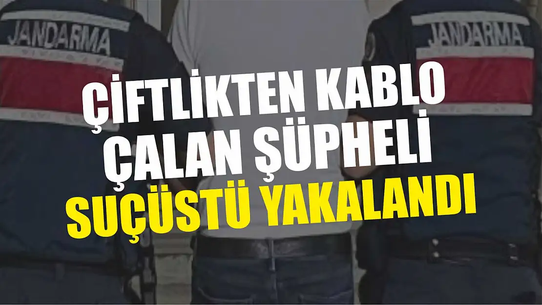 Çiftlikten kablo çalan şüpheli suçüstü yakalandı