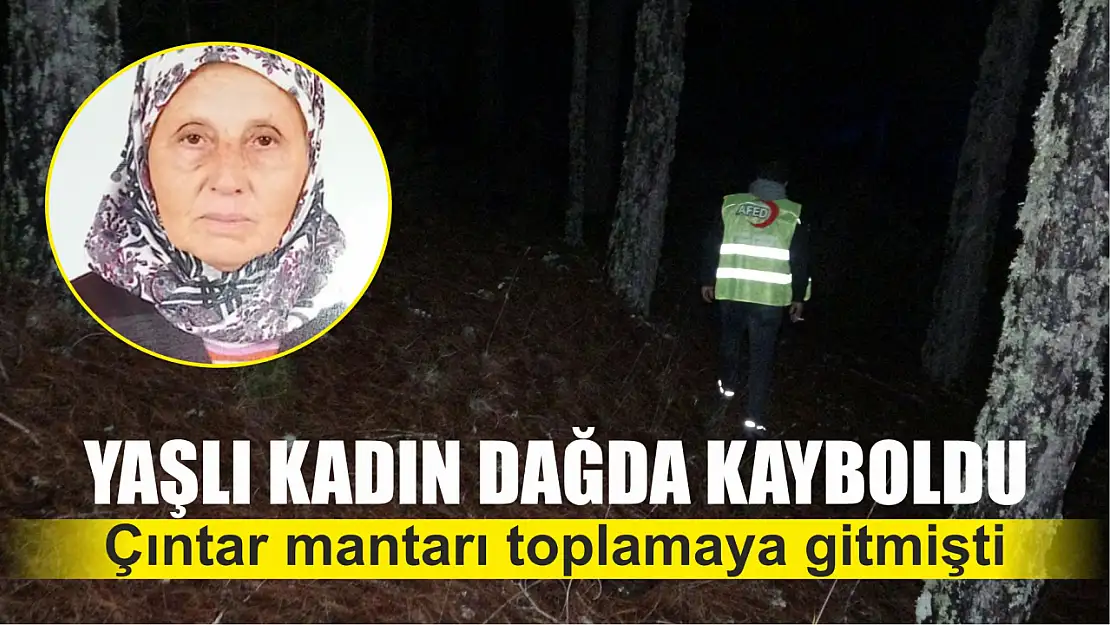 Çıntar mantarı toplamaya giden yaşlı kadın dağda kayboldu