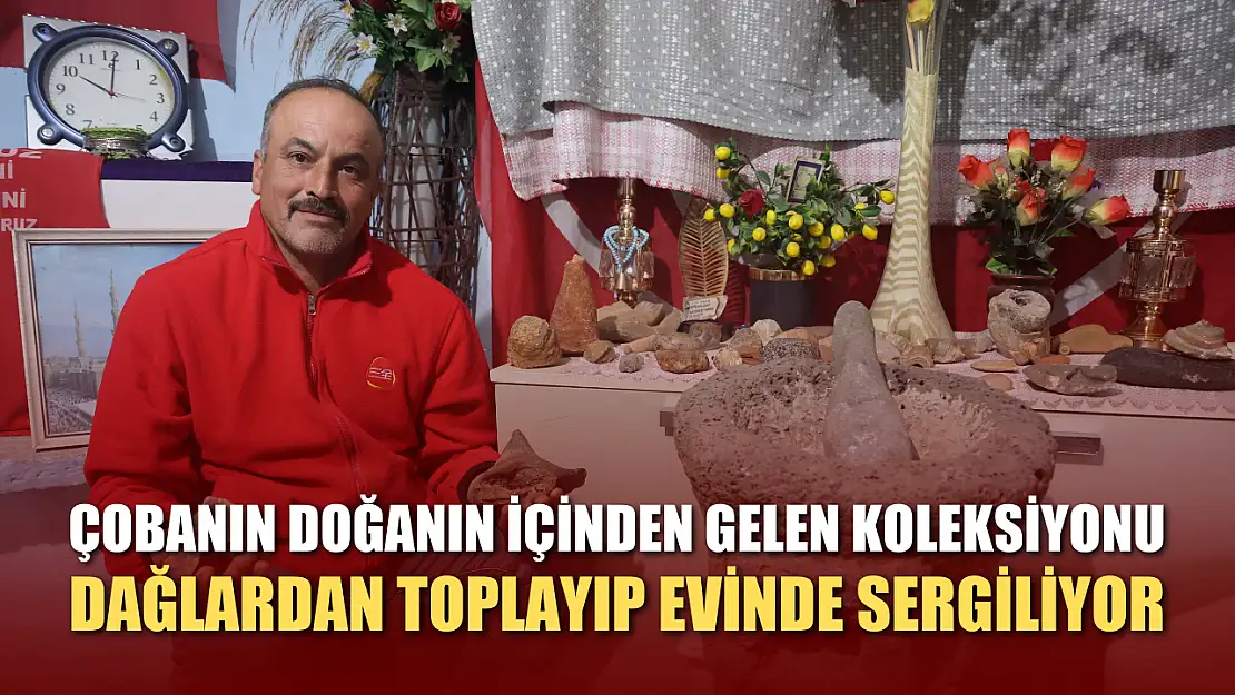 Çobanın doğanın içinden gelen koleksiyonu: Dağlardan toplayıp evinde sergiliyor