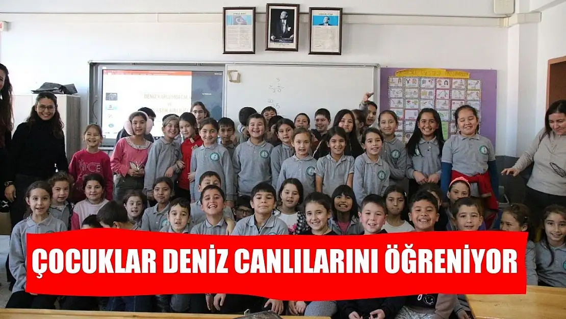 Çocuklar deniz canlılarını öğreniyor