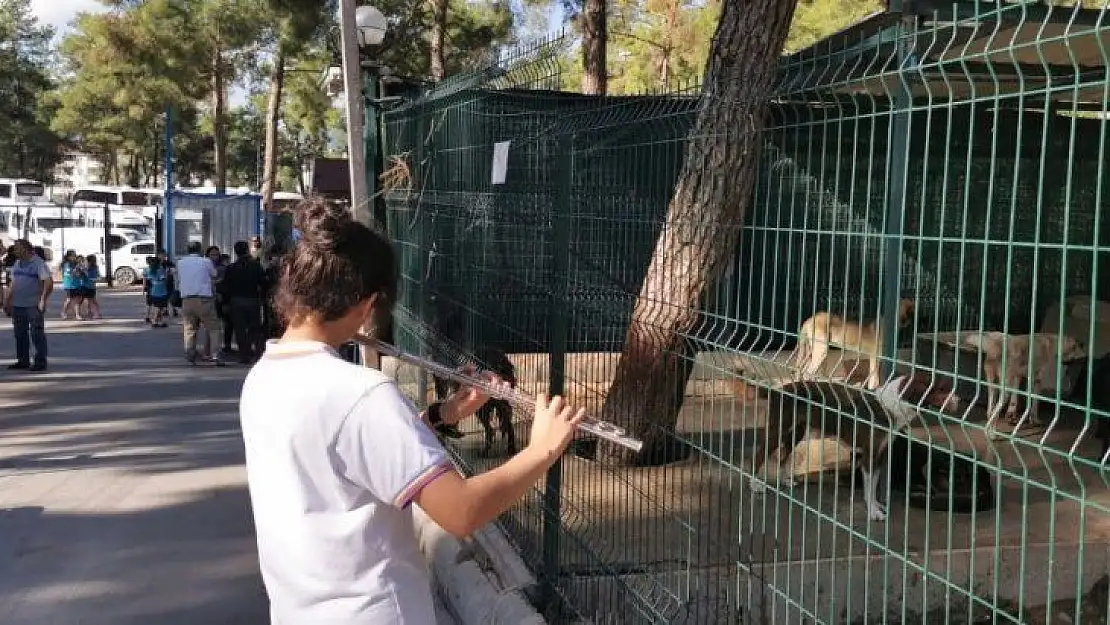 Çocukların barınaktaki hayvanlarla buluşması renkli görüntüler oluşturdu