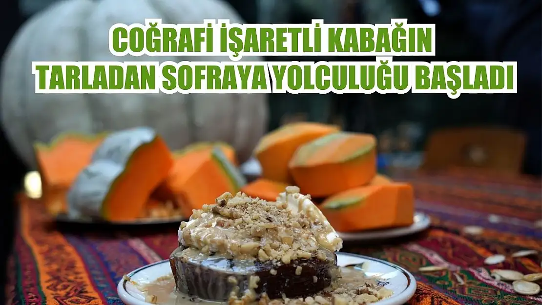 Coğrafi işaretli kabağın tarladan sofraya yolculuğu başladı