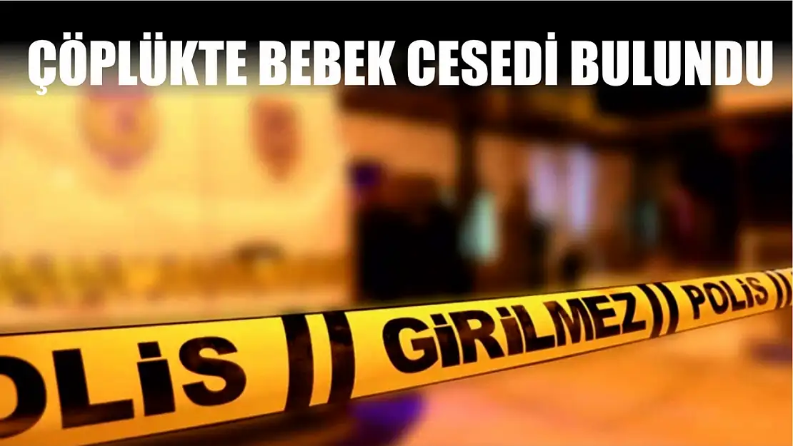 Çöplükte bebek cesedi bulundu