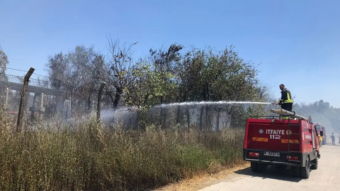 Dalaman'da cezaevi çevresi ve TİGEM arazilerinde yangın