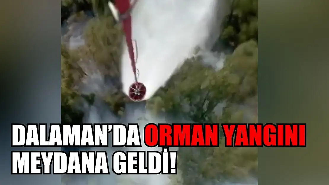 Dalaman'da orman yangını meydana geldi!