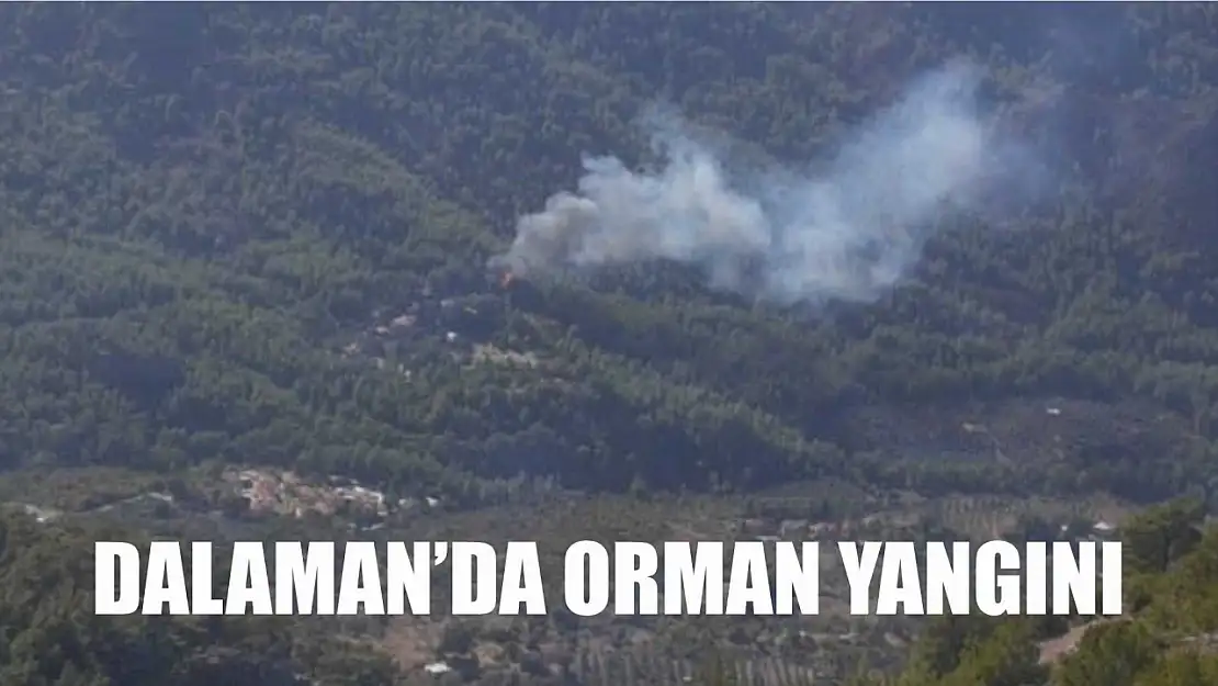 Dalaman'da orman yangını