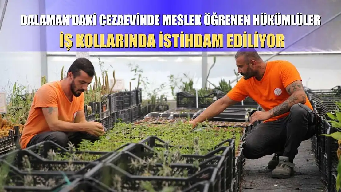 Dalaman'daki cezaevinde meslek öğrenen hükümlüler iş kollarında istihdam ediliyor