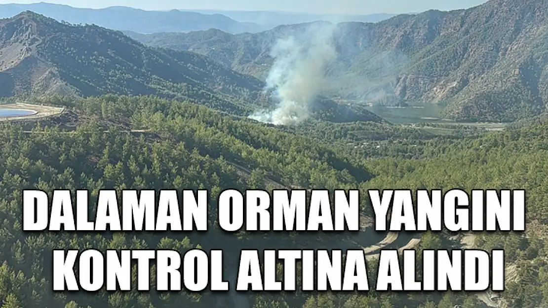 Dalaman orman yangını kontrol altına alındı