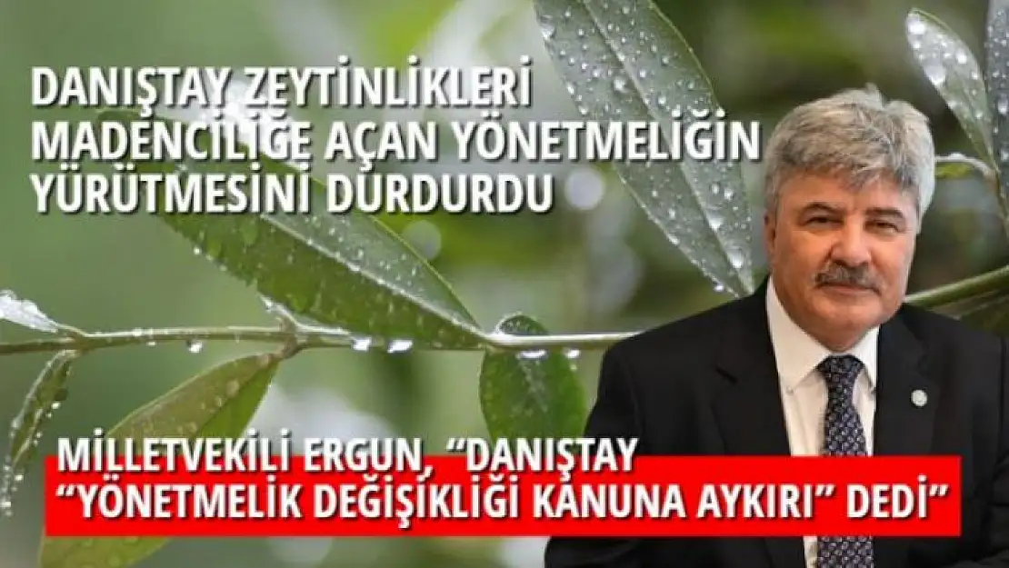 DANIŞTAY ZEYTİNLİKLERİ MADENCİLİĞE AÇAN YÖNETMELİĞİN YÜRÜTMESİNİ DURDURDU