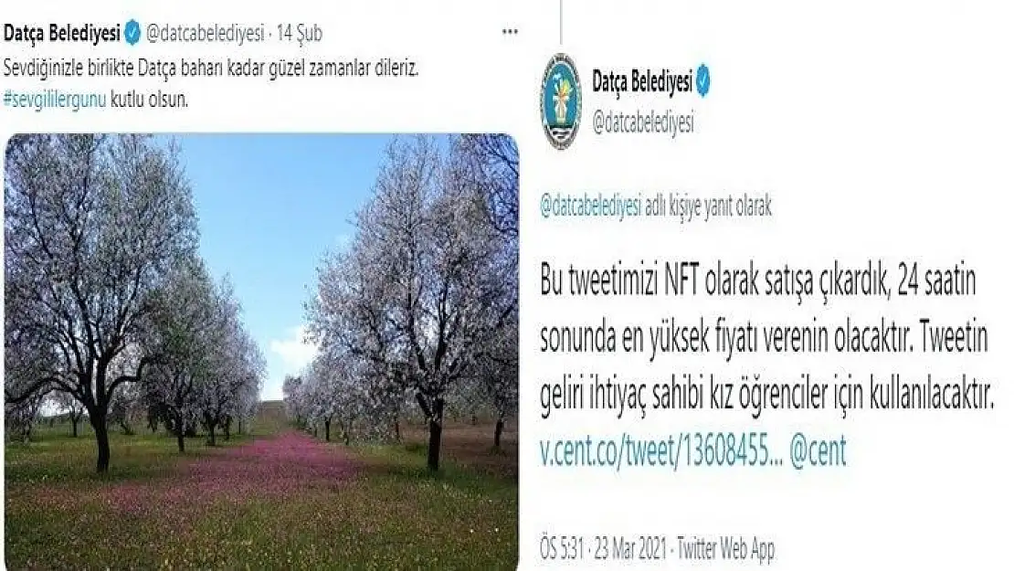 Datça Belediyesi Tweetini 6 Bin Dolara sattı