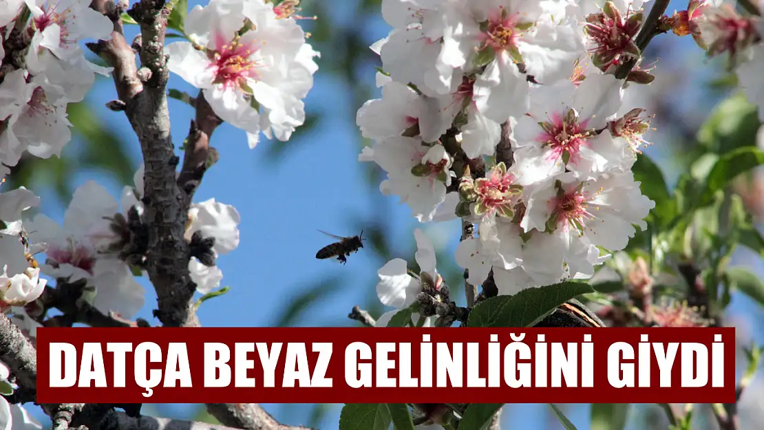 Datça beyaz gelinliğini giydi