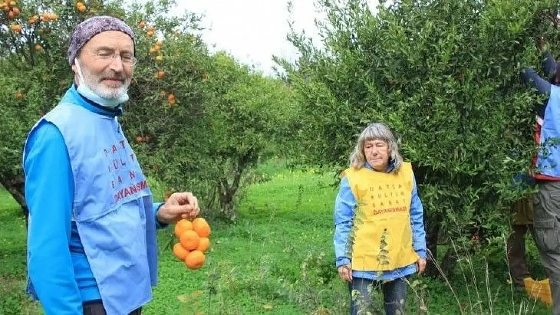 Datça'da 200 kilogram mandalina ihtiyaç sahiplerine dağıtıldı