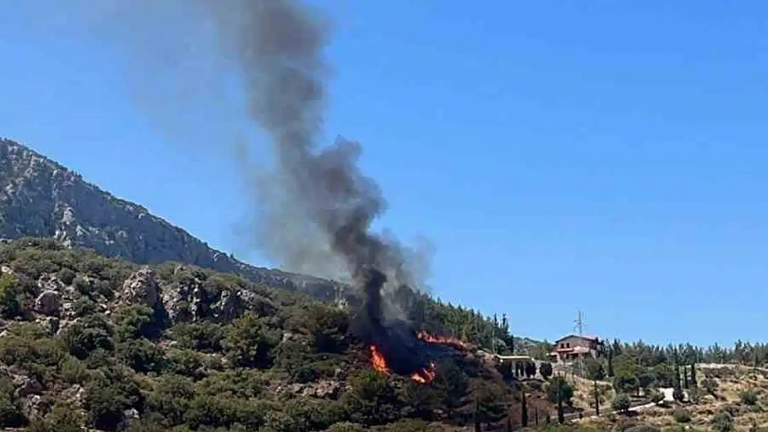 Yangın önce makilik alana, ardında ormana sıçradı