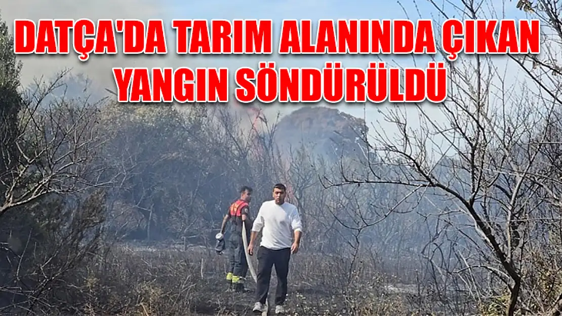 Datça'da tarım alanında çıkan yangın söndürüldü