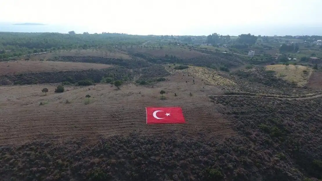 Datça'nın geleceğine nefes için 11 bin fidanı toprakla buluşturdu