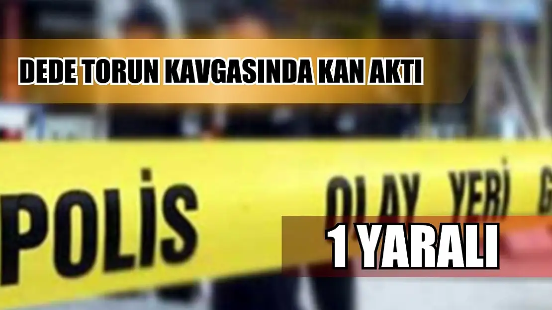 Dede torun kavgasında kan aktı: 1 yaralı