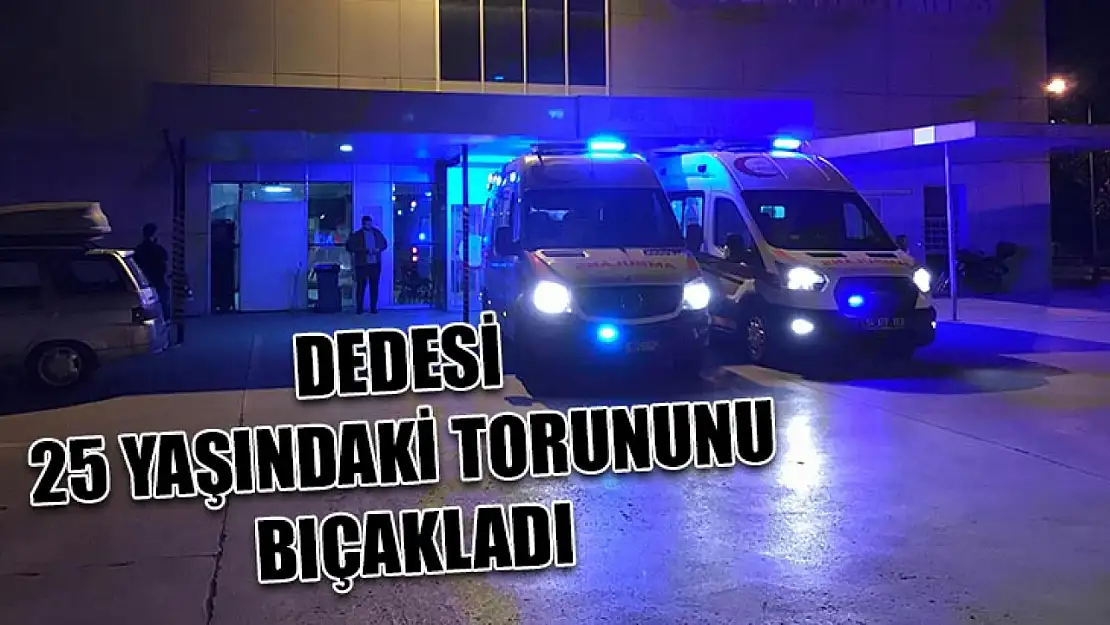 Dedesi 25 Yaşındaki Torununu Bıçakladı