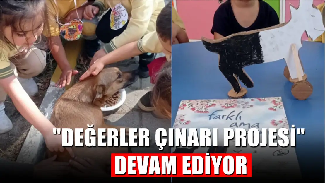 'Değerler Çınarı Projesi' devam ediyor